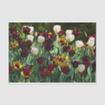 Maroon and Yellow Tulips Colorful Floral Tissue Paper