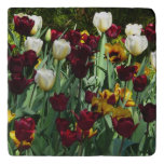 Maroon and Yellow Tulips Colorful Floral Trivet