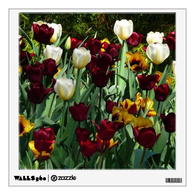 Maroon and Yellow Tulips Colorful Floral Wall Decal (Front)