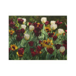 Maroon and Yellow Tulips Colorful Floral Wood Poster