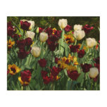 Maroon and Yellow Tulips Colorful Floral Wood Wall Art