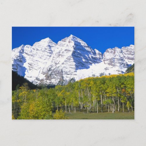 Maroon Bells with autumn aspen forest Postcard