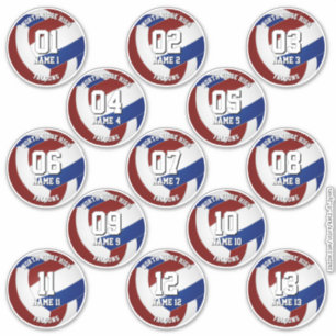 maroon blue volleyball stickers for 13 athletes