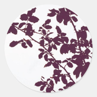 Maroon Branch Stickers