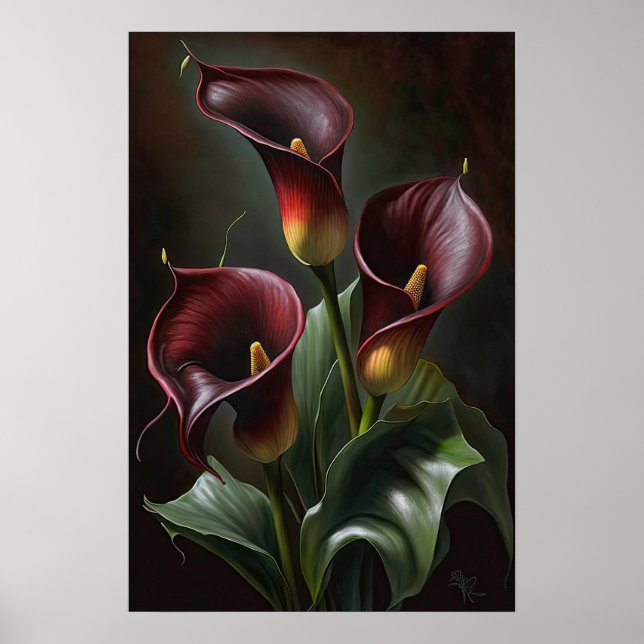 Maroon Calla Lilies Lily Flower Art Print Poster (Front)