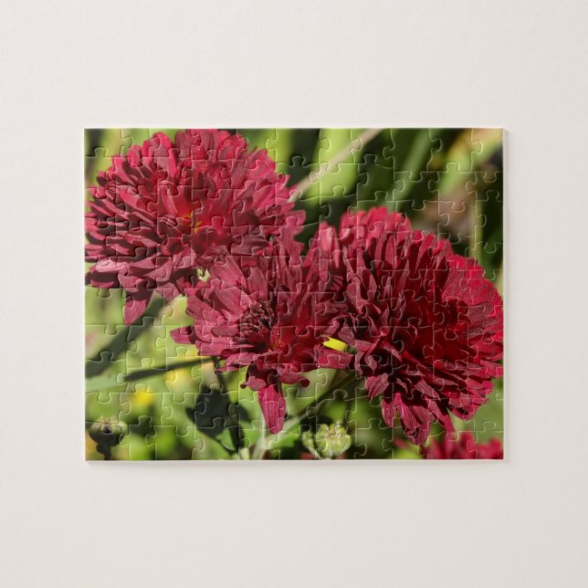 Maroon Chrysanthemums Jigsaw Puzzle (Horizontal)