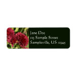 Maroon Chrysanthemums Label