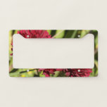 Maroon Chrysanthemums License Plate Frame