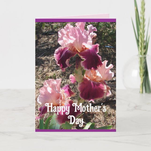 Maroon Flowers Floral Iris Irises Mothers Day Card (Front)