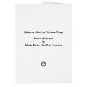 Maroon Hibiscus Shadow Fairy (Back)