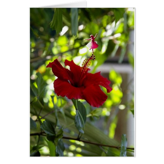 Maroon Hibiscus Shadow Fairy (Front)