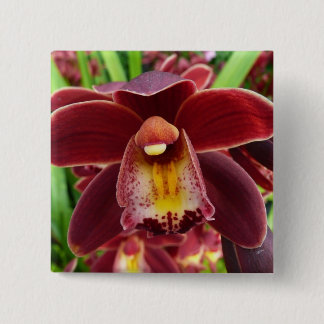 Maroon Orchids I Beautiful Red Floral Button