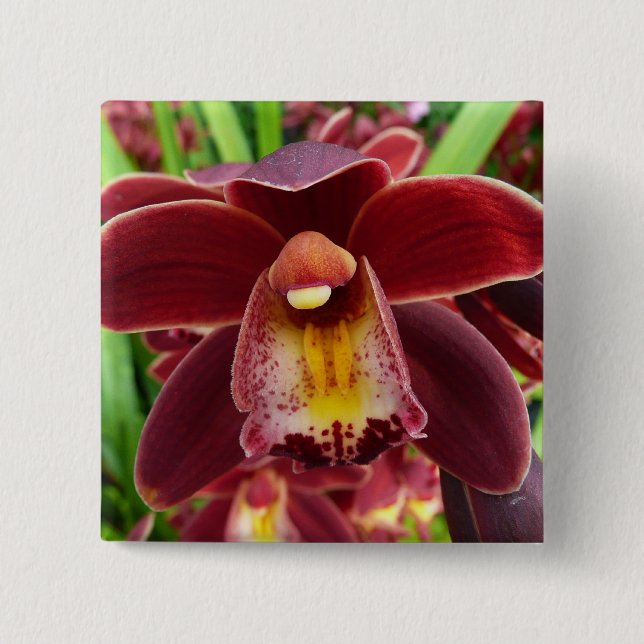 Maroon Orchids I Beautiful Red Floral Button (Front)