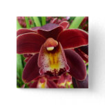 Maroon Orchids I Beautiful Red Floral Button
