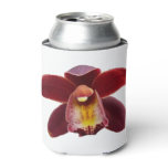 Maroon Orchids I Beautiful Red Floral Can Cooler