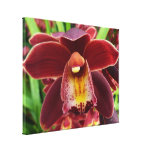 Maroon Orchids I Beautiful Red Floral Canvas Print