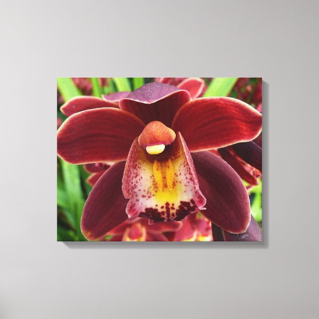 Maroon Orchids I Beautiful Red Floral Canvas Print (Front)