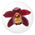 Maroon Orchids I Beautiful Red Floral Ceramic Knob