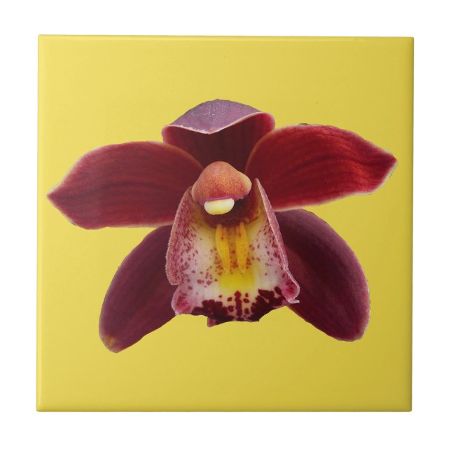 Maroon Orchids I Beautiful Red Floral Ceramic Tile (Front)