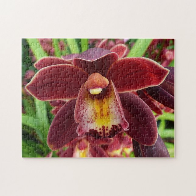 Maroon Orchids I Beautiful Red Floral Jigsaw Puzzle (Horizontal)
