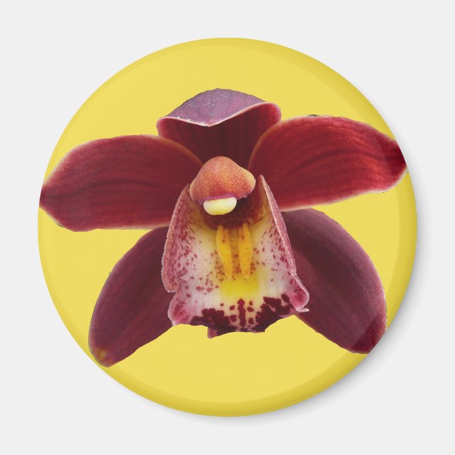 Maroon Orchids I Beautiful Red Floral Magnet (Front)