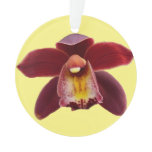 Maroon Orchids I Beautiful Red Floral Ornament