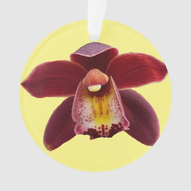 Maroon Orchids I Beautiful Red Floral Ornament (Front)