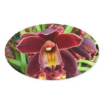 Maroon Orchids I Beautiful Red Floral Oval Sticker