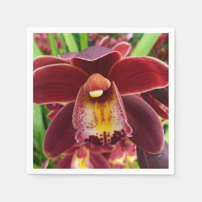 Maroon Orchids I Beautiful Red Floral Paper Napkins (Front)