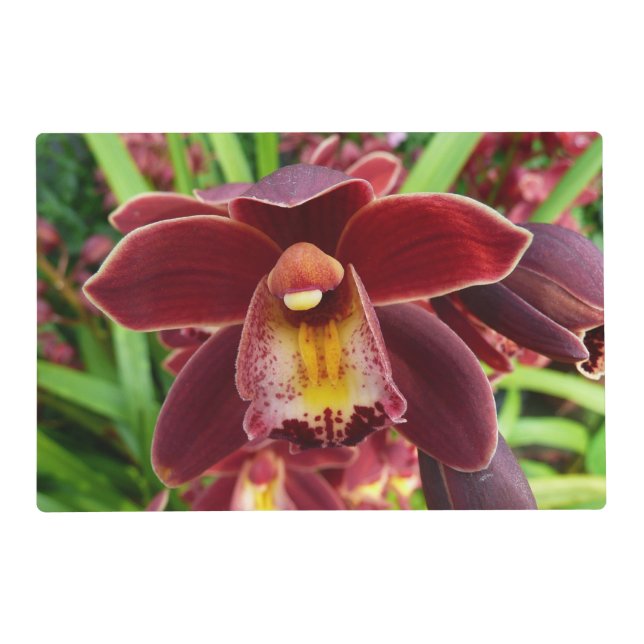 Maroon Orchids I Beautiful Red Floral Placemat (Front)