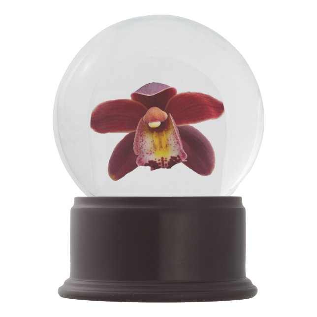 Maroon Orchids I Beautiful Red Floral Snow Globe (Back)
