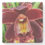 Maroon Orchids I Beautiful Red Floral Stone Coaster