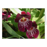 Maroon Orchids II Elegant Floral