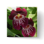 Maroon Orchids II Elegant Floral Button