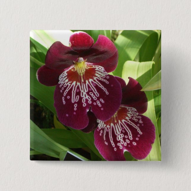 Maroon Orchids II Elegant Floral Button (Front)