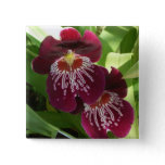 Maroon Orchids II Elegant Floral Button