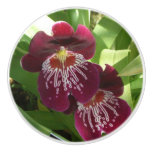 Maroon Orchids II Elegant Floral Ceramic Knob