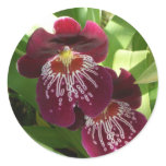 Maroon Orchids II Elegant Floral Classic Round Sticker
