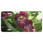 Maroon Orchids II Elegant Floral License Plate