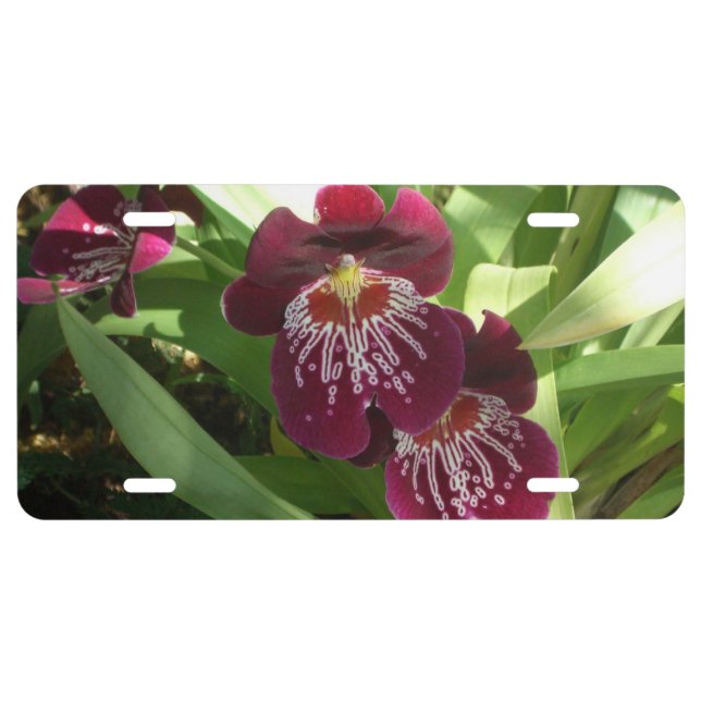 Maroon Orchids II Elegant Floral License Plate (Front)