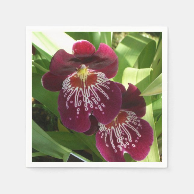 Maroon Orchids II Elegant Floral Napkins (Front)