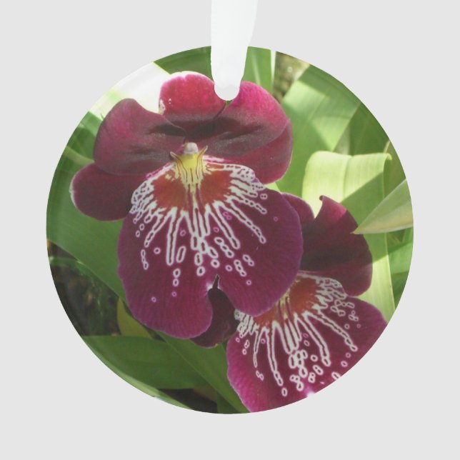Maroon Orchids II Elegant Floral Ornament (Front)