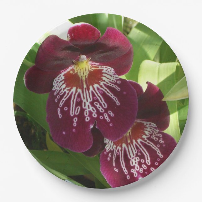 Maroon Orchids II Elegant Floral Paper Plates (Front)