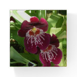 Maroon Orchids II Elegant Floral Paperweight