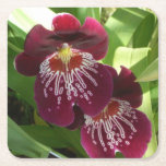 Maroon Orchids II Elegant Floral Square Paper Coaster