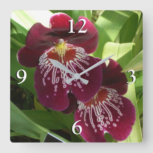 Maroon Orchids II Elegant Floral Square Wall Clock (Front)