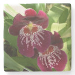 Maroon Orchids II Elegant Floral Stone Coaster