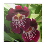 Maroon Orchids II Elegant Floral Tile