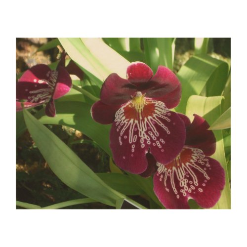 Maroon Orchids II Elegant Floral Wood Wall Decor