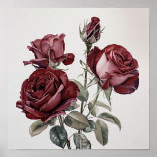 Maroon Roses Flower Art Print Poster